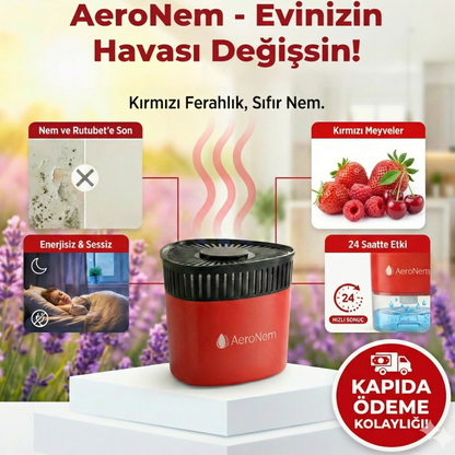 Nem ve Küf Oluşumunu Önleyen Kutu